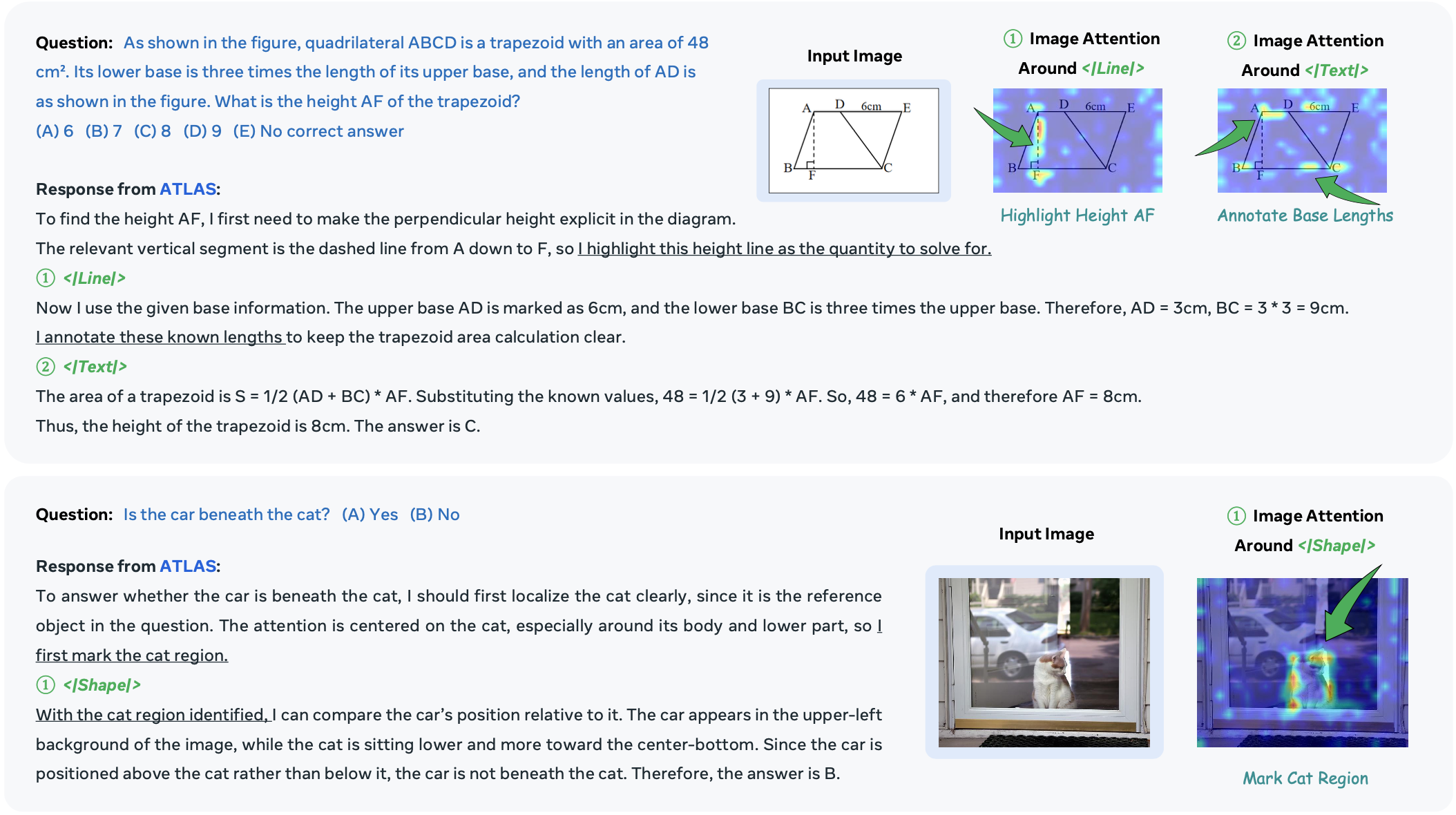 Attention visualization around ATLAS functional tokens.